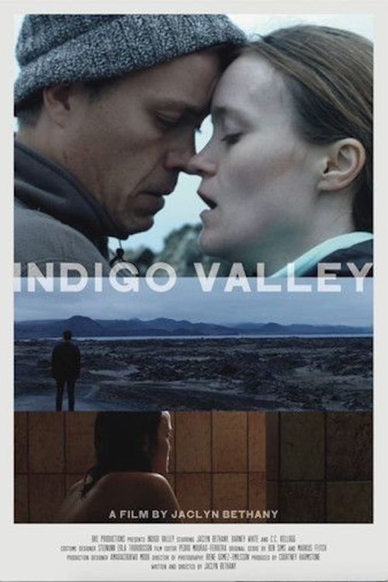 affiche du film Indigo Valley