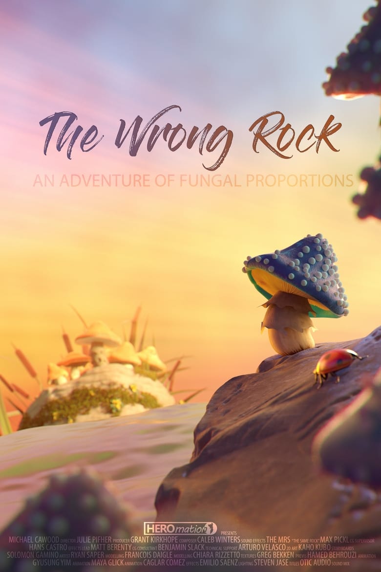 affiche du film The Wrong Rock