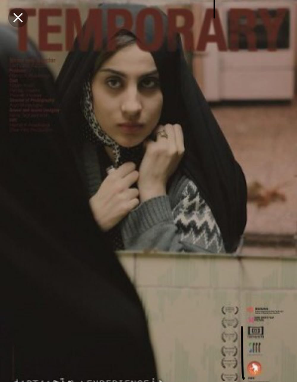 affiche du film Temporary