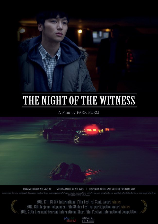 affiche du film The Night of the Witness