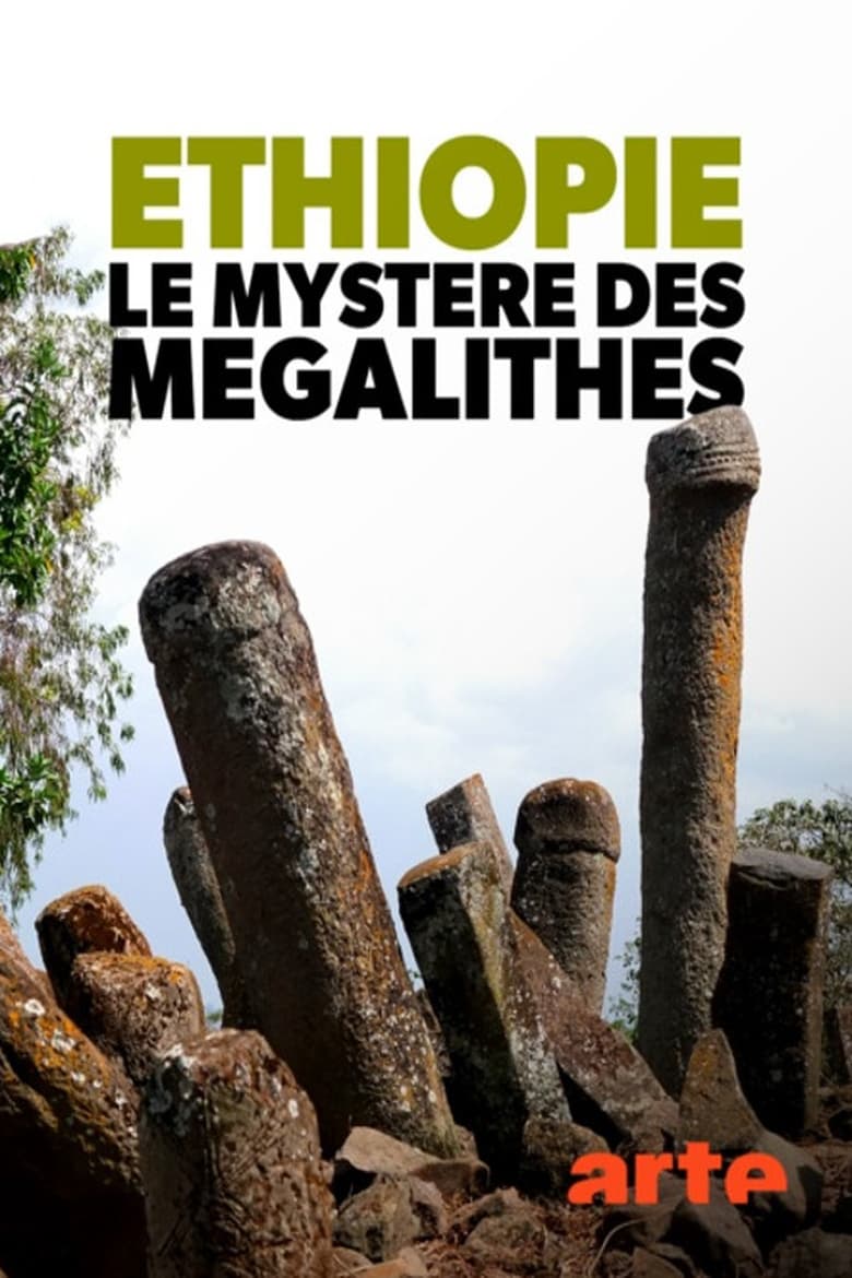 affiche du film Éthiopie, le mystère des mégalithes