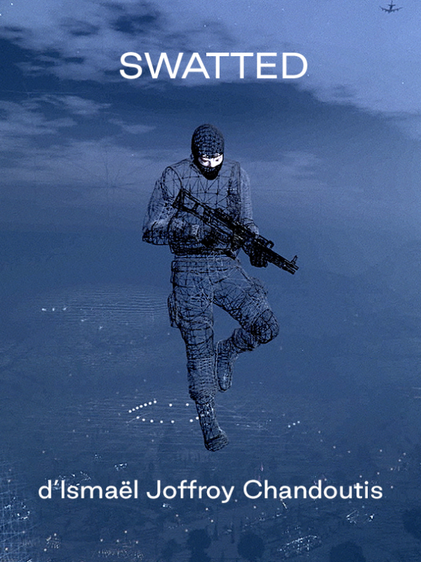 affiche du film Swatted