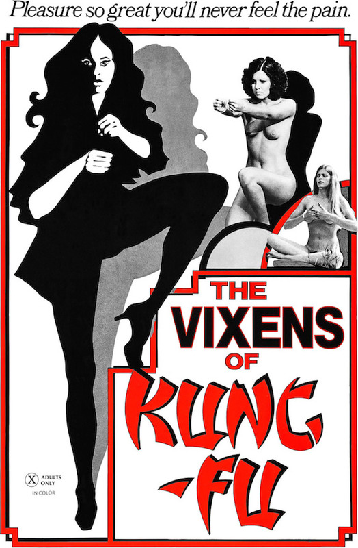 affiche du film The Vixens of Kung Fu