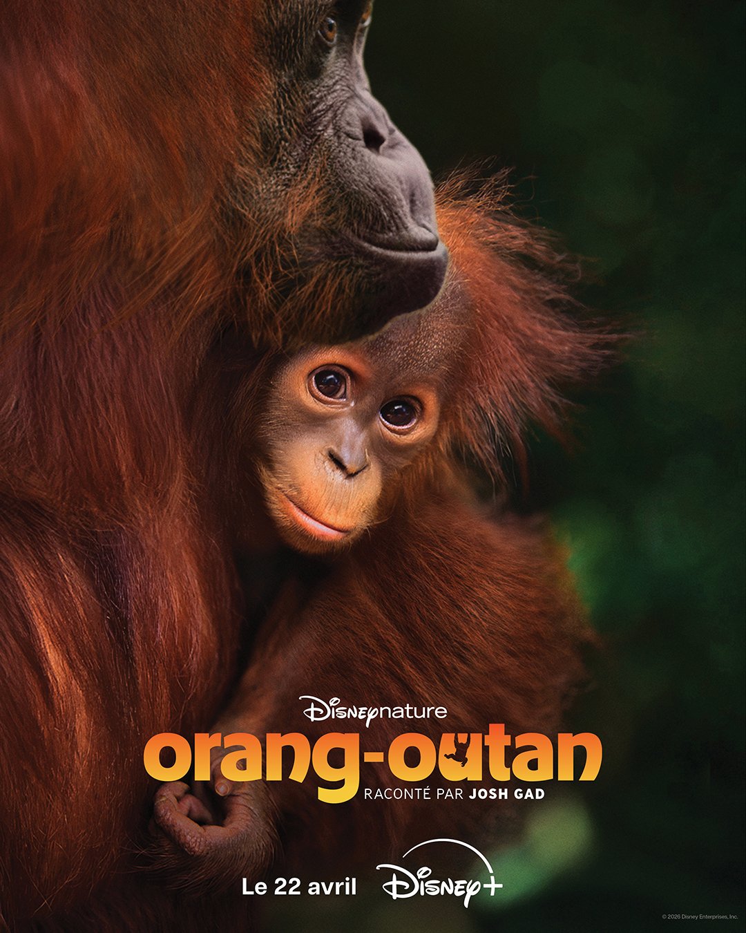 affiche du film Orang-outan