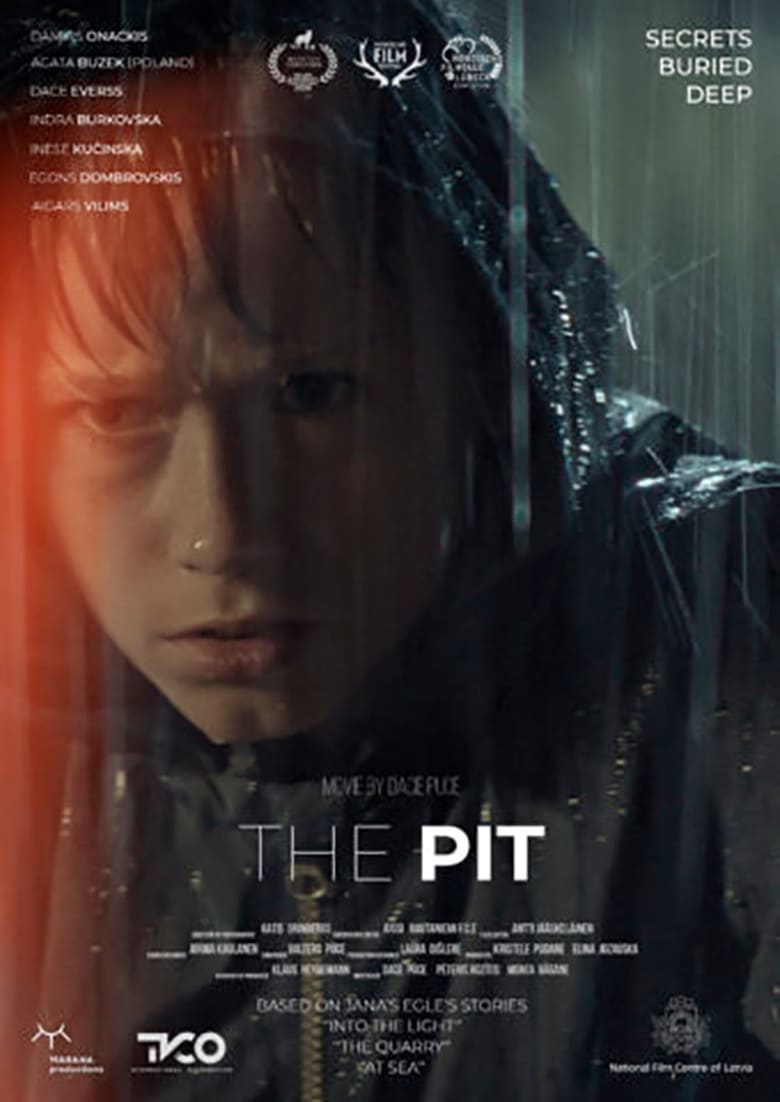 affiche du film The Pit