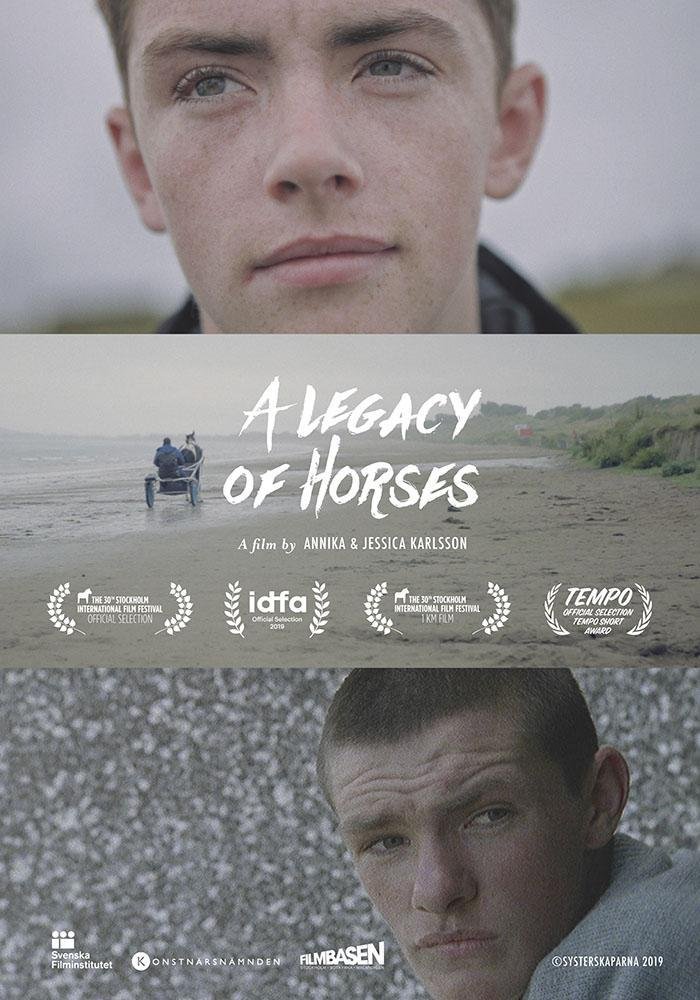 affiche du film A Legacy of Horses