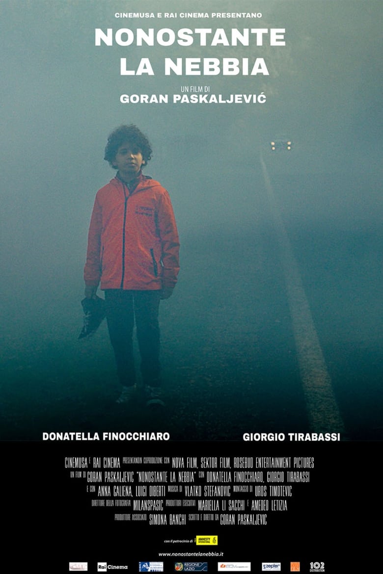 affiche du film Despite the Fog