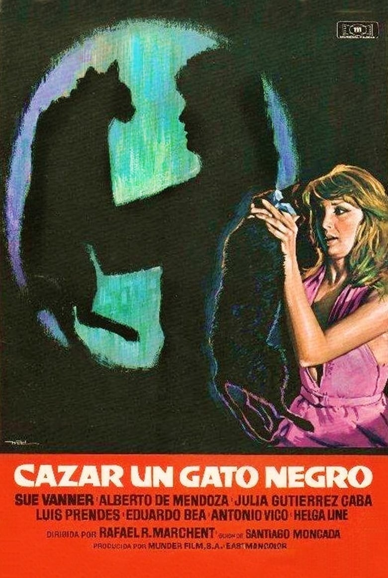 affiche du film Cazar un gato negro