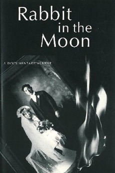 affiche du film Rabbit in the Moon