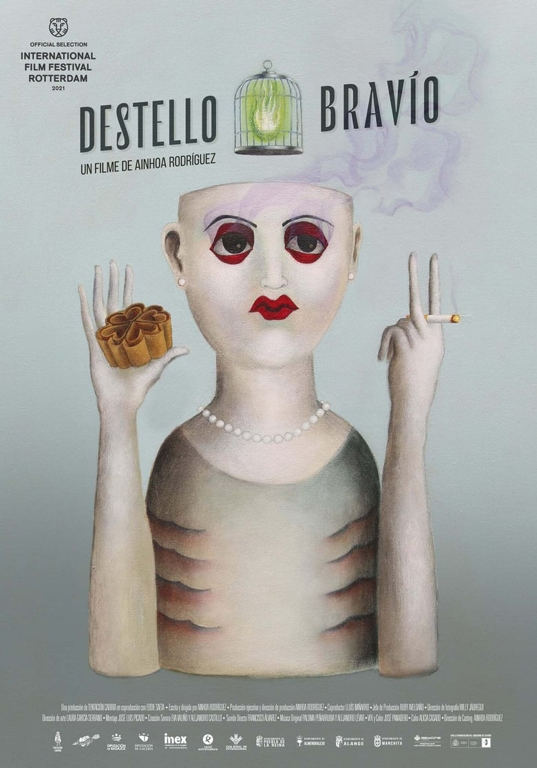 affiche du film Destello Bravío