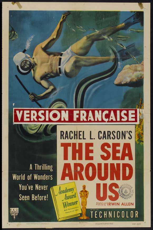 affiche du film Cette mer qui nous entoure