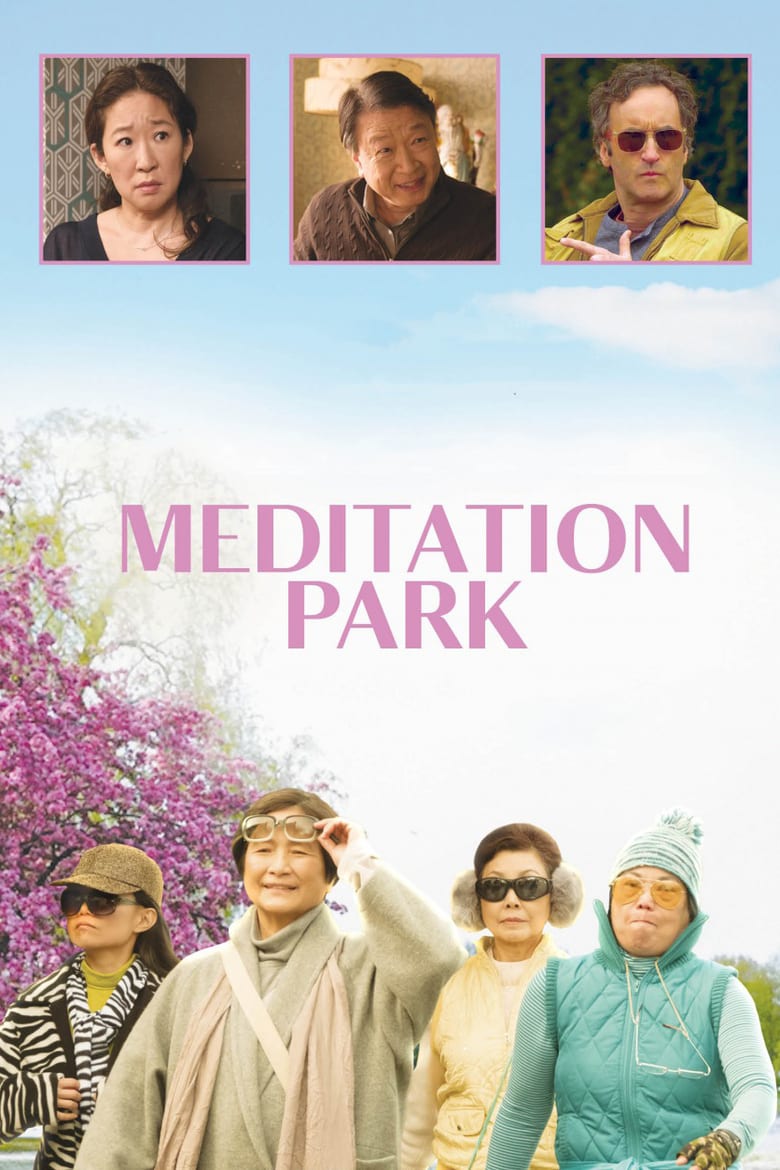 affiche du film Meditation Park