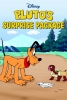 Pluto et la tortue (Pluto's Surprise Package)