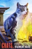 Chats, c'est vraiment nous (Poeslief: een ode aan de kat)