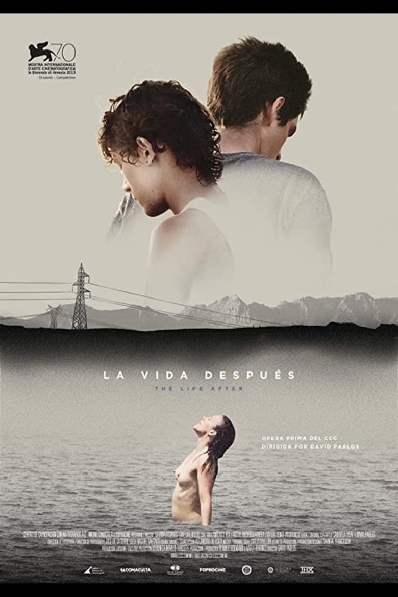 affiche du film La vida después