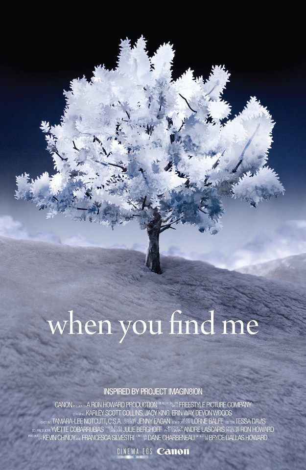 affiche du film When You Find Me