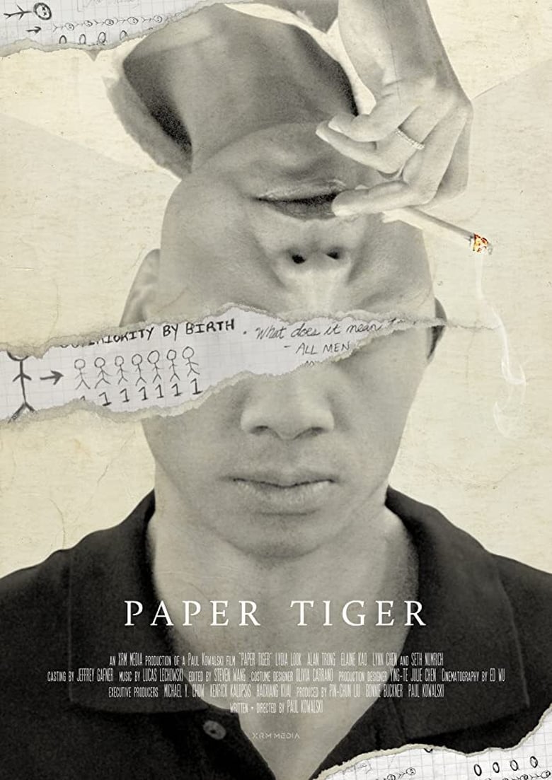 affiche du film Paper Tiger