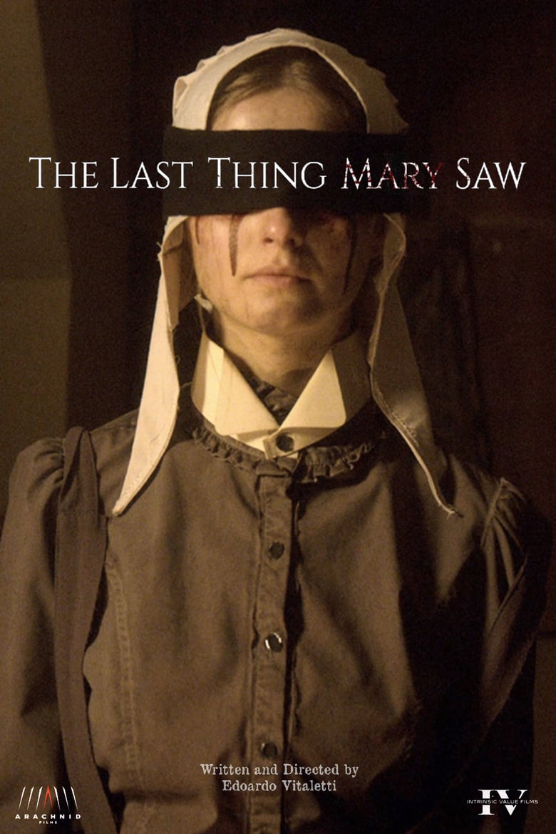 affiche du film The Last Thing Mary Saw