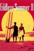 Chasseurs de Vagues (The Endless Summer II)