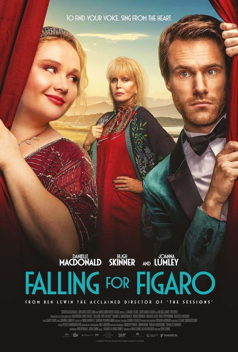 affiche du film Falling for Figaro