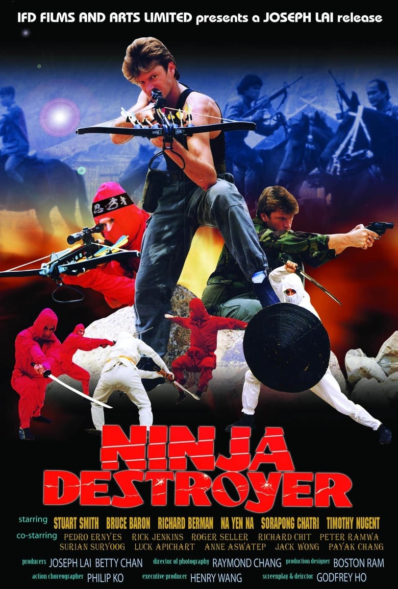 affiche du film Ninja Destroyer