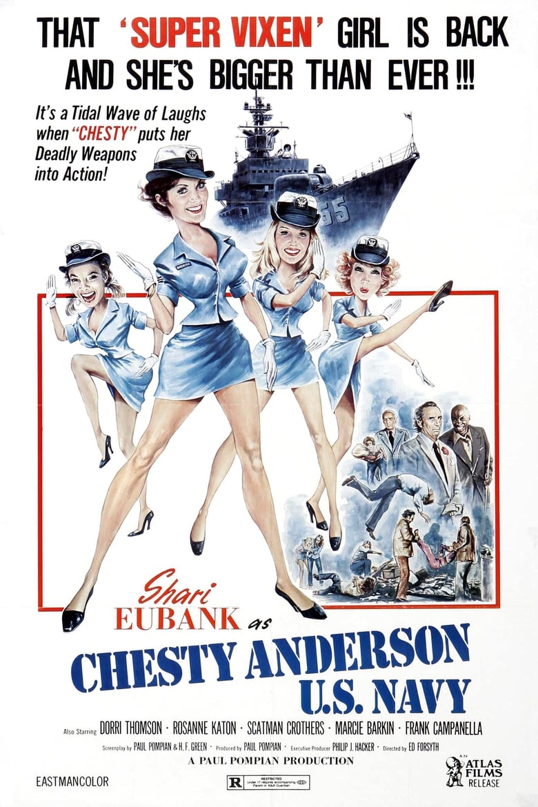affiche du film Chesty Anderson U.S. Navy