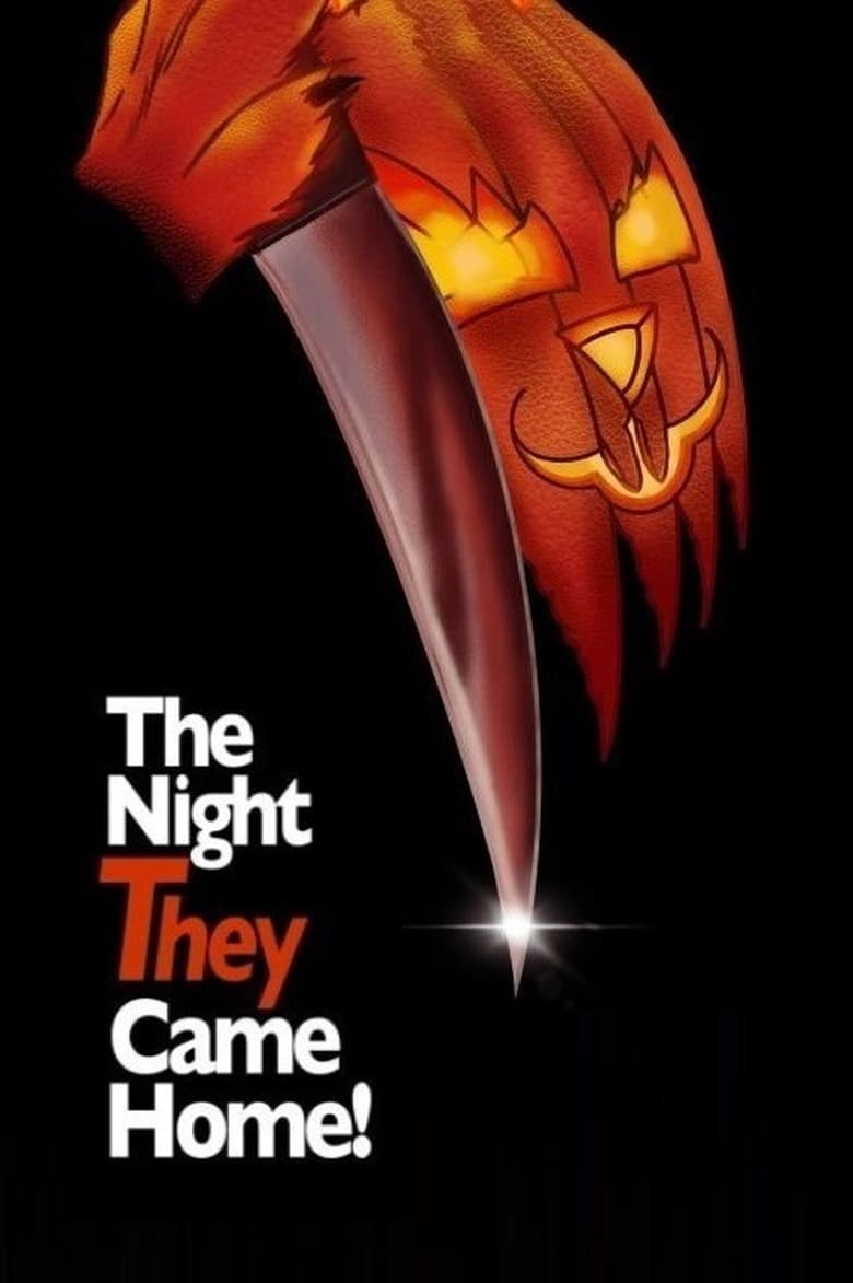 affiche du film Mr. Bungle: The Night They Came Home