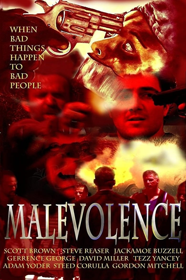 affiche du film Malevolence