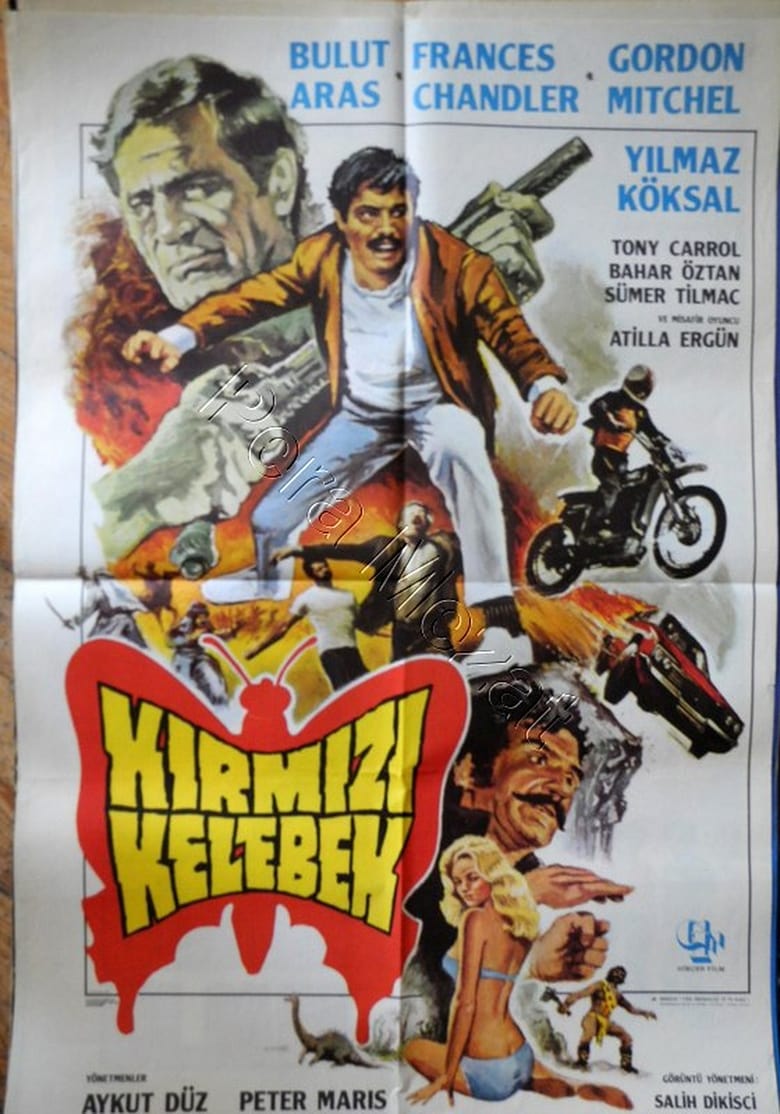affiche du film Kirmizi kelebek