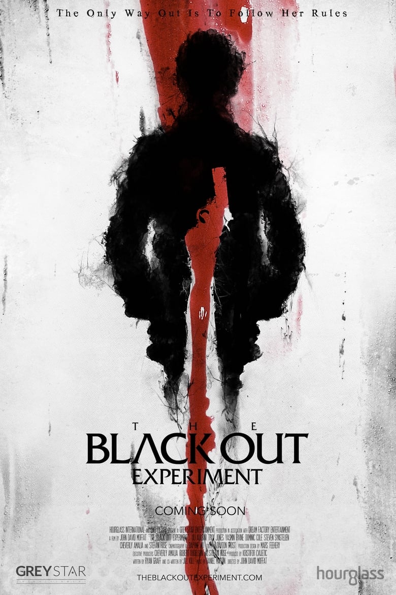 affiche du film The Blackout Experiment