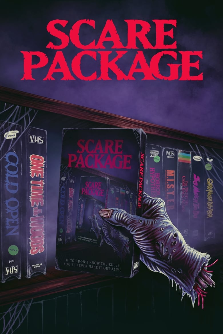 affiche du film Scare Package