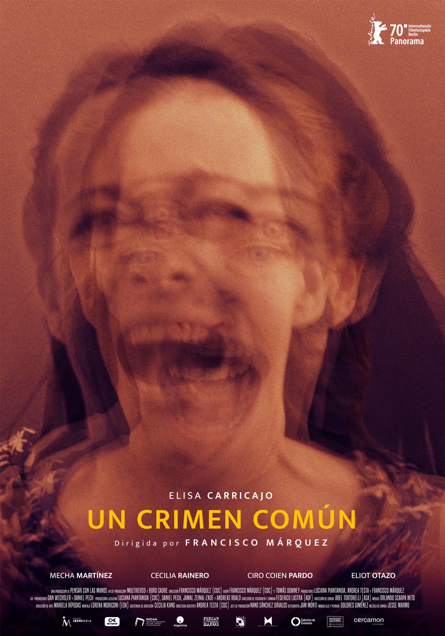 affiche du film Un crime commun