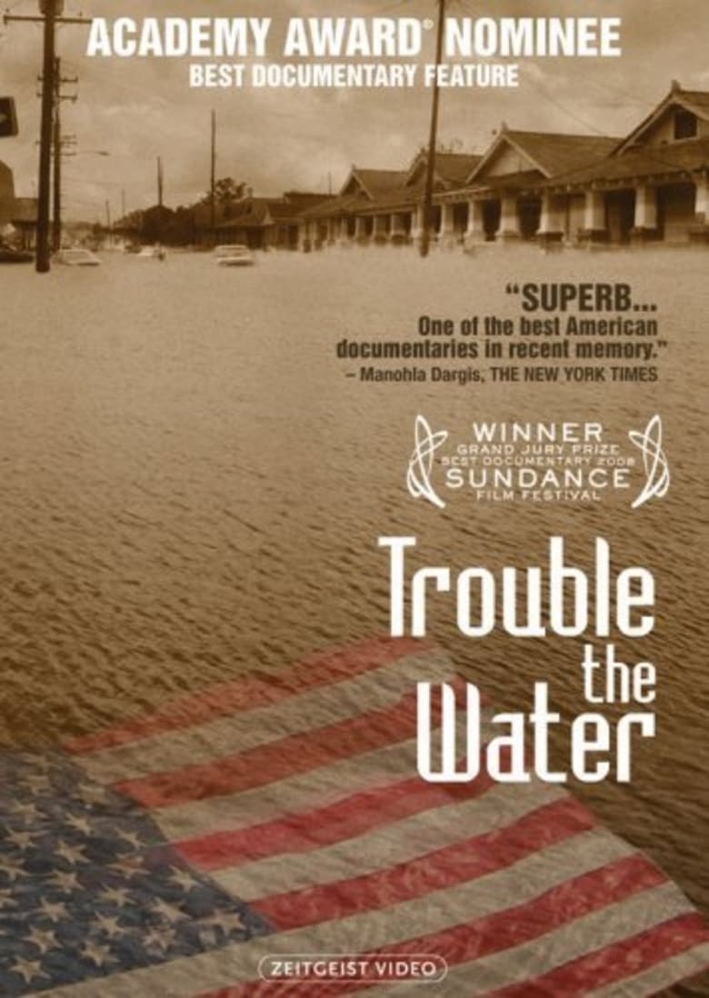 affiche du film Trouble the Water