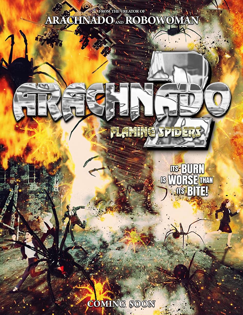 affiche du film Arachnado 2: Flaming Spiders