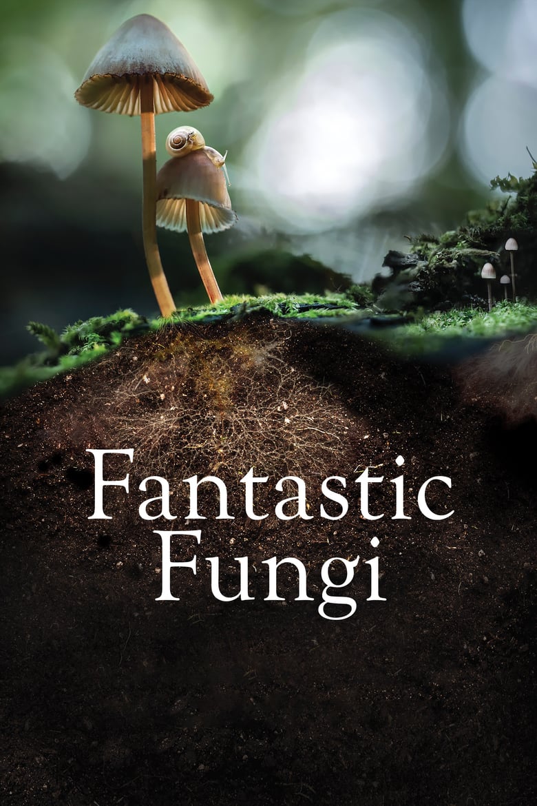 affiche du film Fantastic Fungi