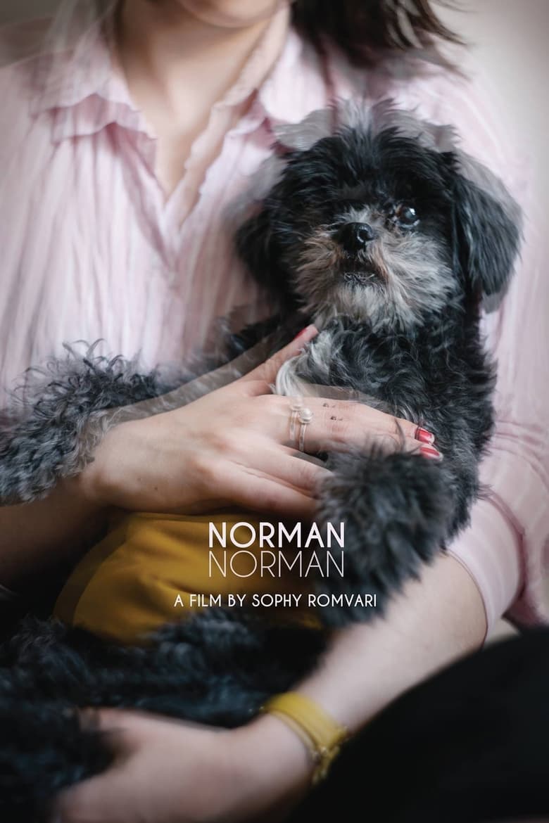 affiche du film Norman Norman