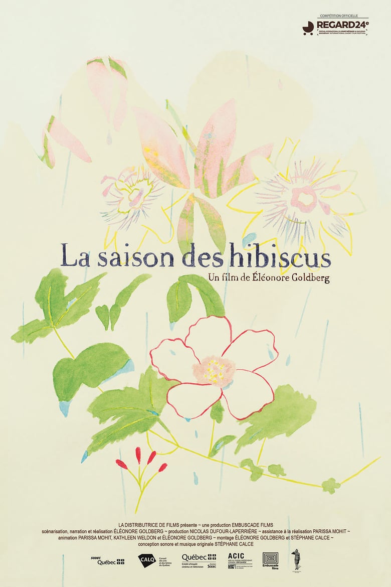 affiche du film La saison des hibiscus