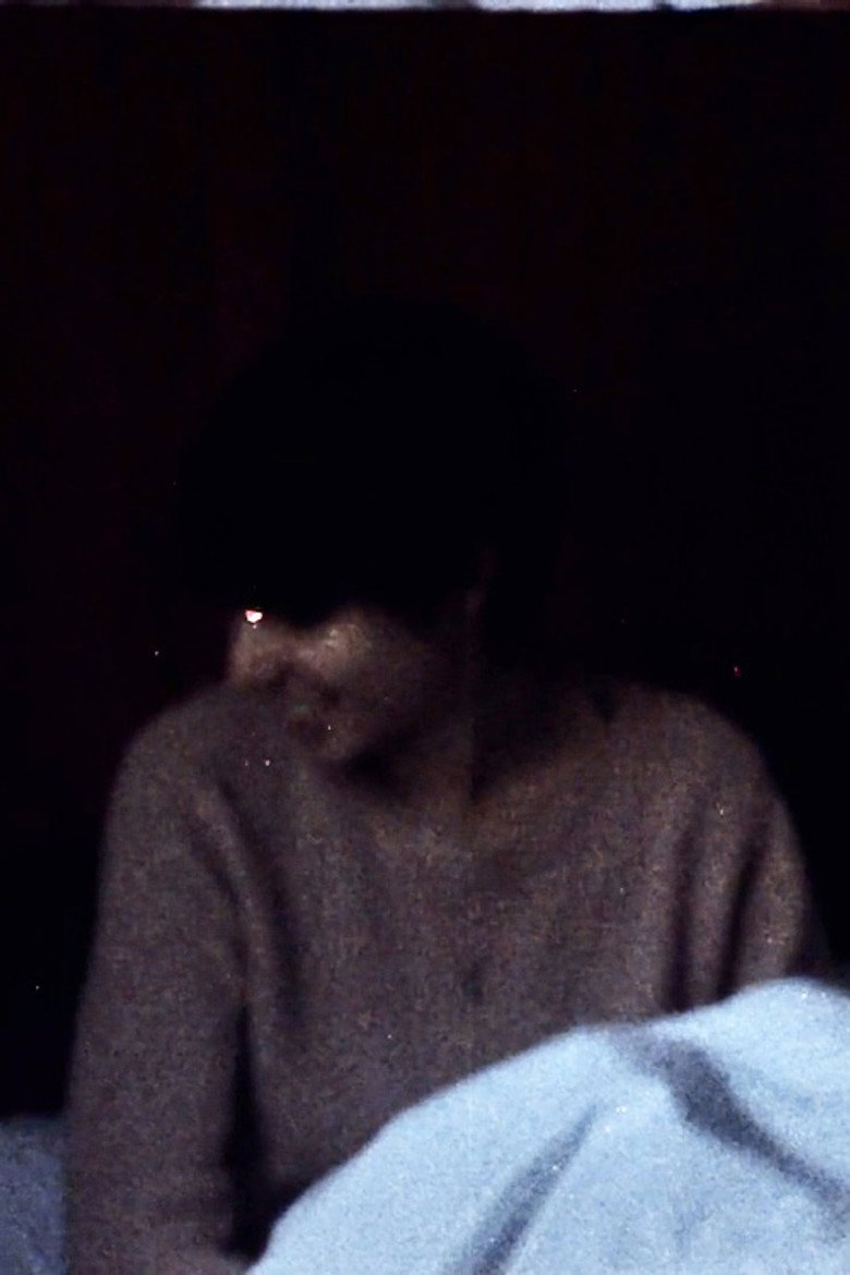 affiche du film Vercors