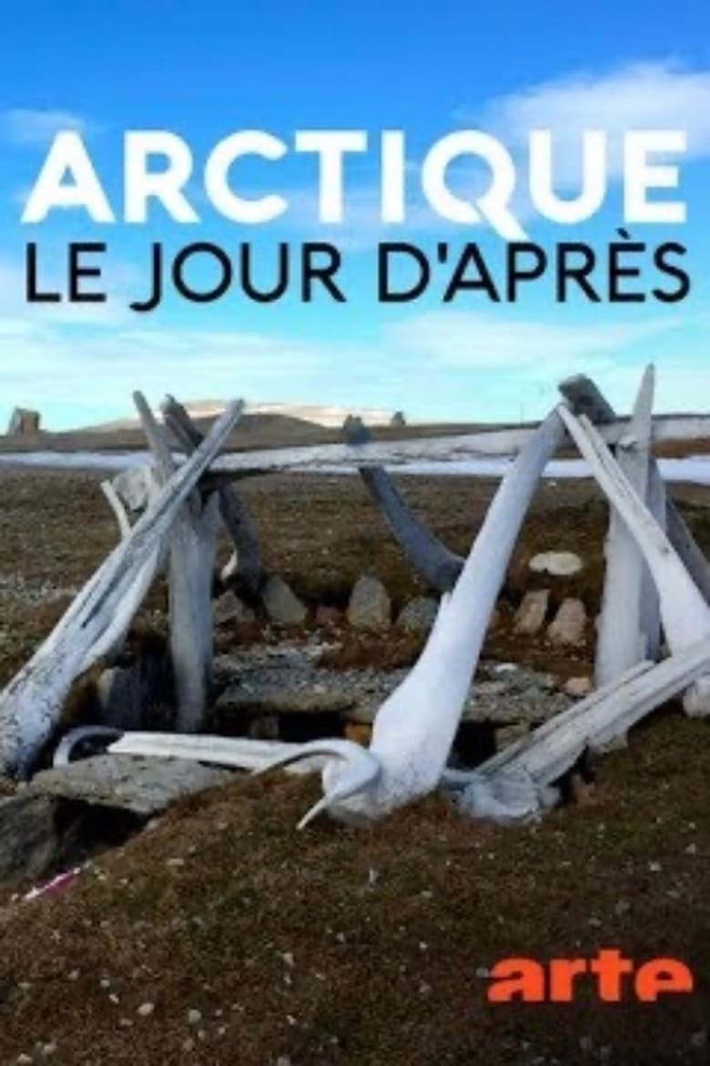 affiche du film Arctique – Le jour d'après