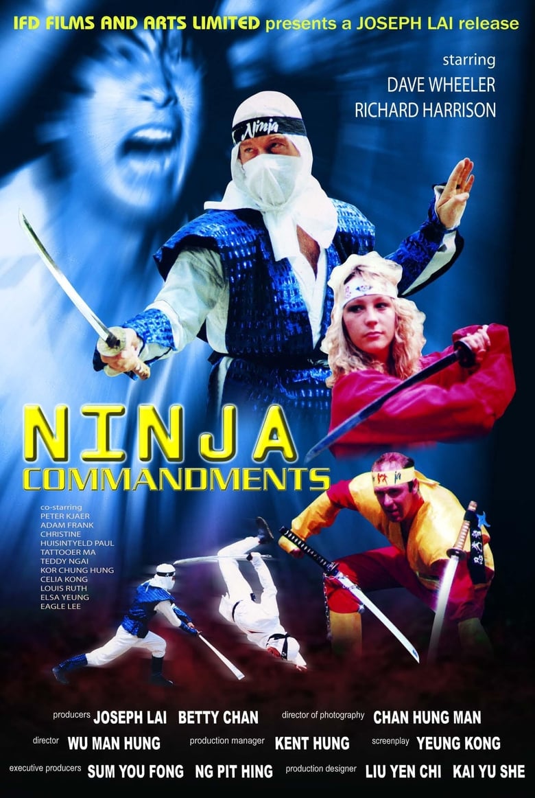affiche du film Ninja Commandments