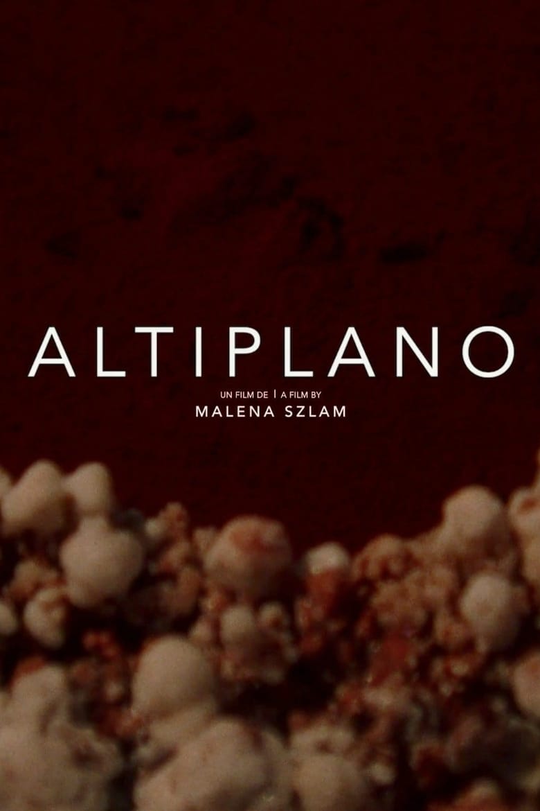 affiche du film Altiplano