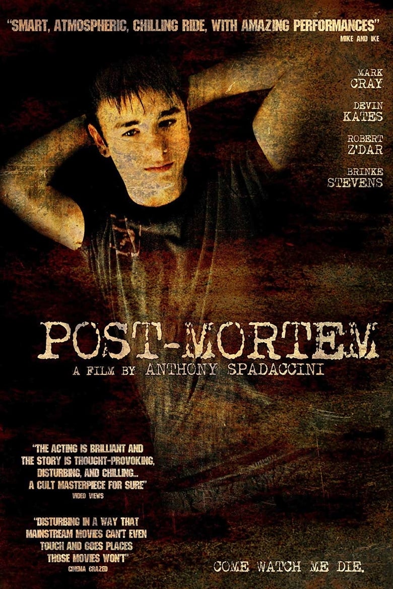 affiche du film Post-Mortem