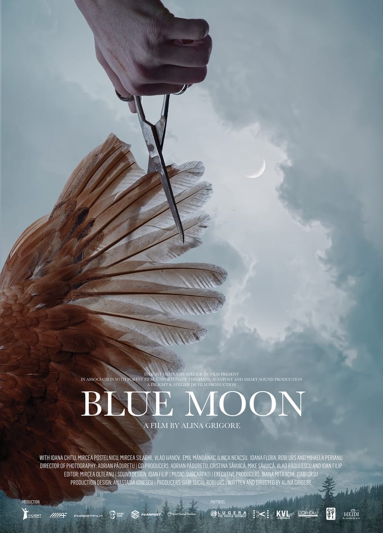 affiche du film Blue moon