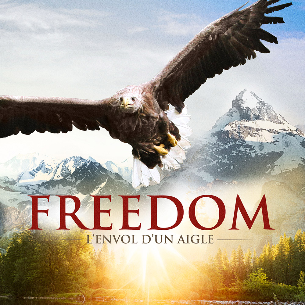 affiche du film Freedom, l'envol d'un aigle