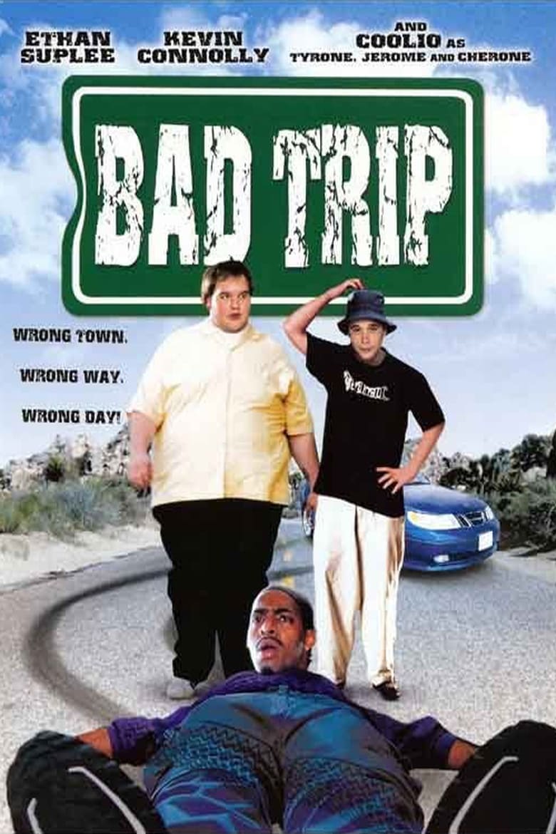 affiche du film Bad Trip