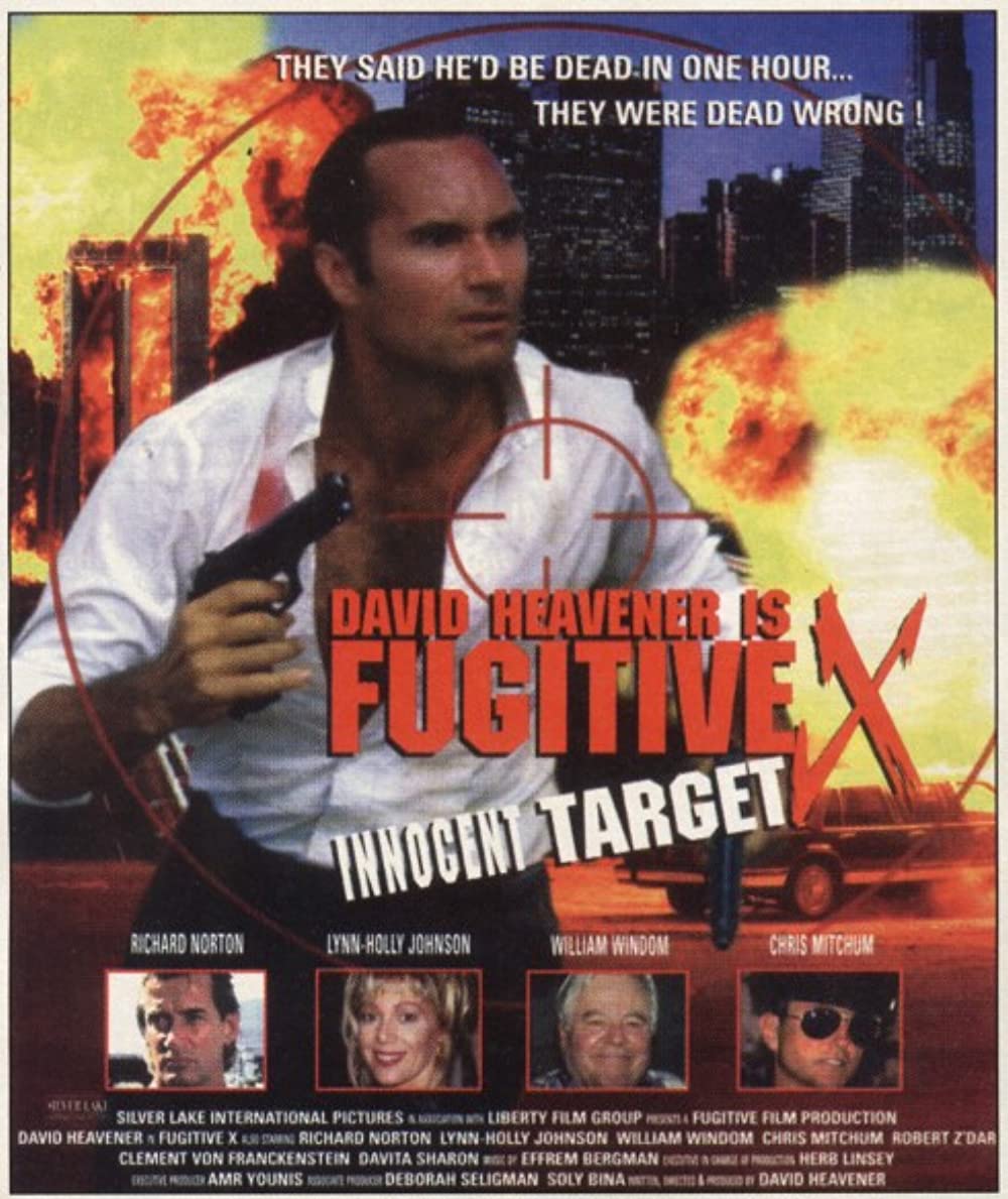 affiche du film Fugitive X : Innocent Target