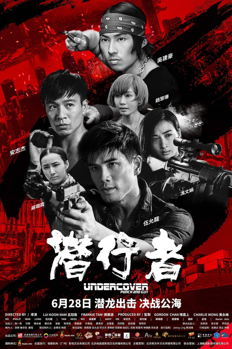 affiche du film Undercover, Punch & Gun