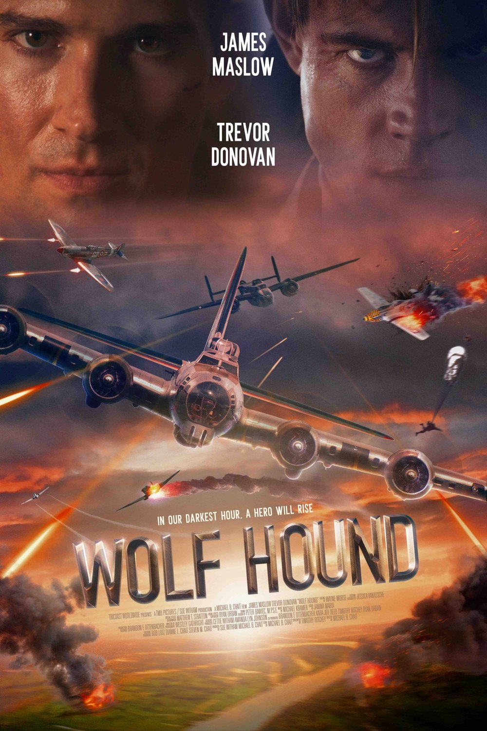 affiche du film Wolf Hound