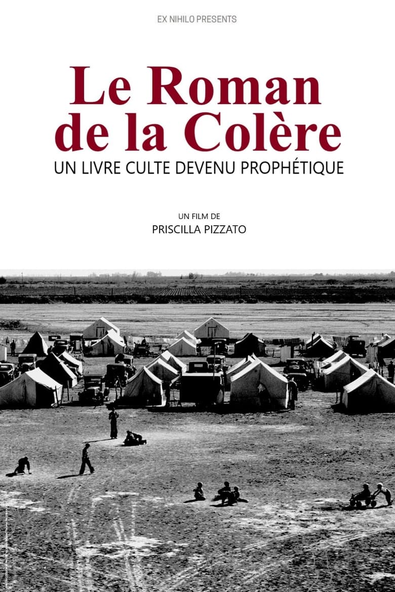 affiche du film Le Roman de la colère