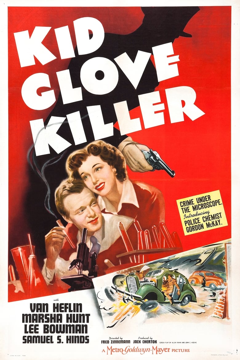 affiche du film L'assassin au gant de velours
